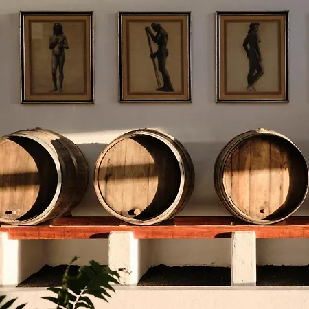 Villa Ecofinca Aulaga