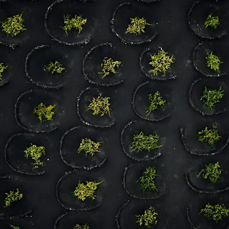 Ecofinca Aulaga Villa Masdache