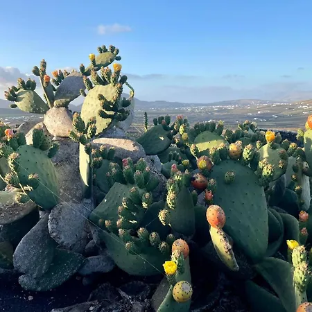 Ecofinca Aulaga Villa *