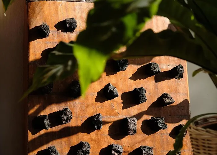 וילה Ecofinca Aulaga