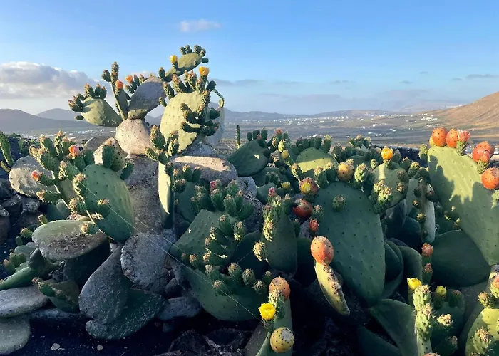 Ecofinca Aulaga Βίλα *